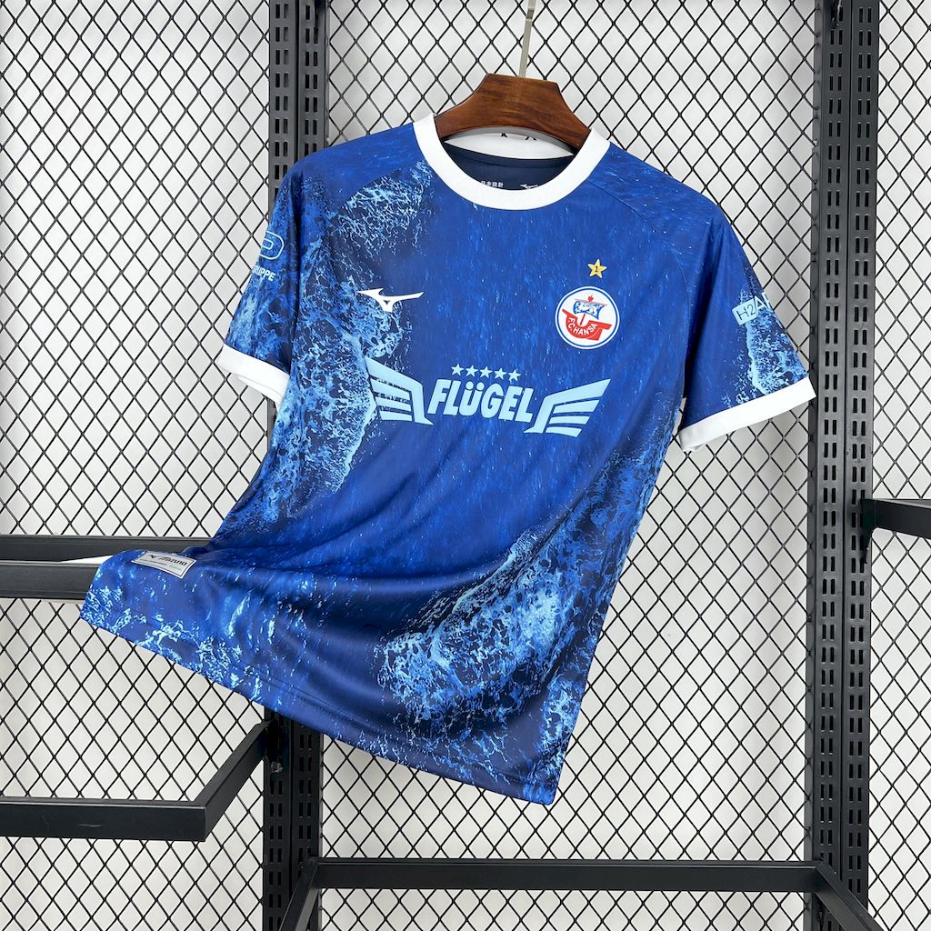 Maillot Édition Spécial Mer Baltique FC Hansa Rostock 2025/26