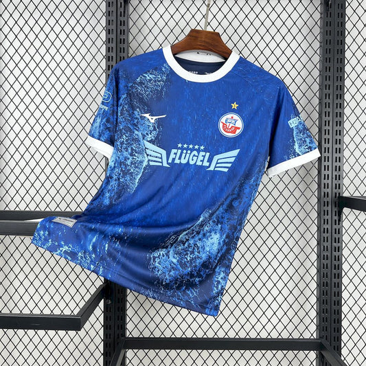 Maillot Édition Spécial Mer Baltique FC Hansa Rostock 2025/26