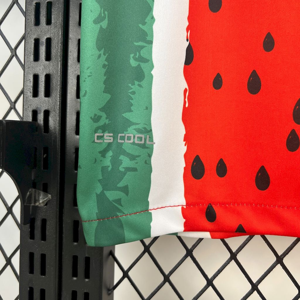 Maillot Extérieur CD Palestino 2025/26