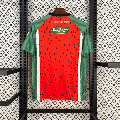 Maillot Extérieur CD Palestino 2025/26